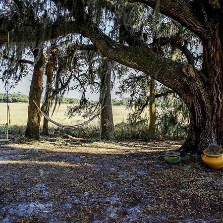 Secluded Tiny House By The Marsh With Hunting Island Beach Pass Frogmore Luaran gambar