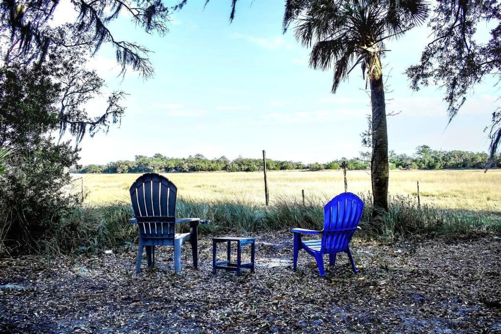 Secluded Tiny House By The Marsh With Hunting Island Beach Pass Frogmore Luaran gambar